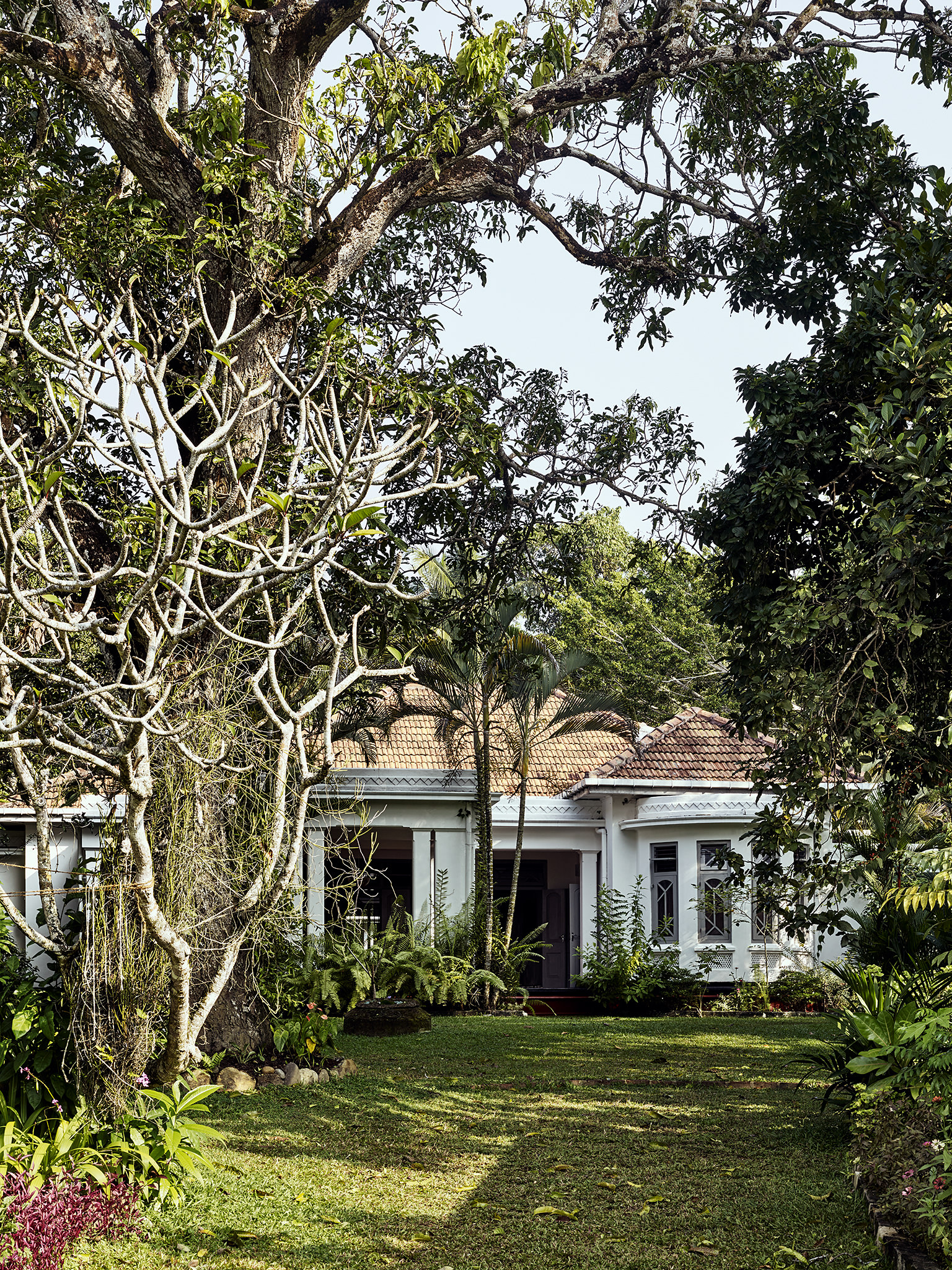 E16583 Alpa 055423 SCREEN